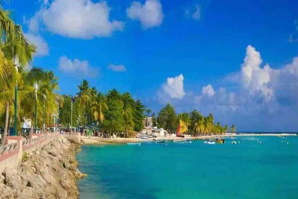 Casa Tropica Sainte-Anne Apartment Guadeloupe